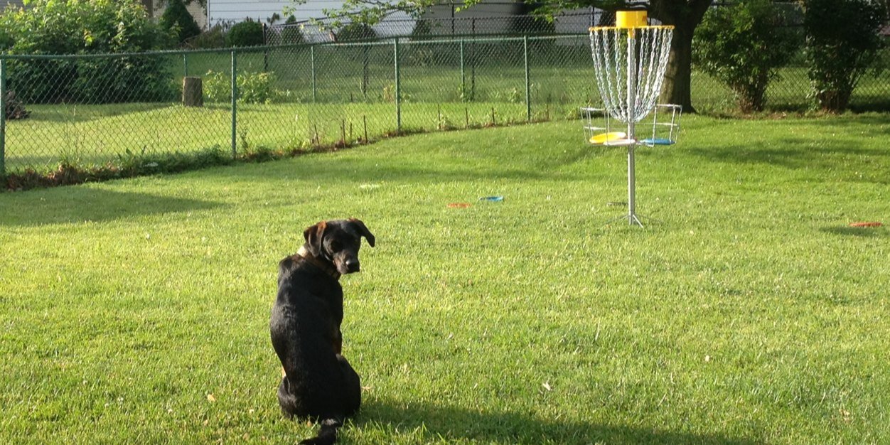 DHdiscgolf's profile banner image