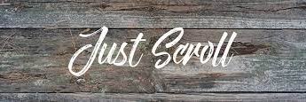 scoot banner