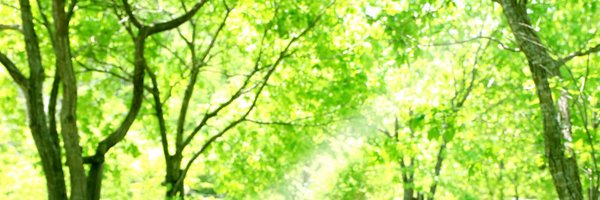 agape11smile Profile Banner