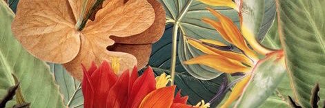 darrietty's profile banner image