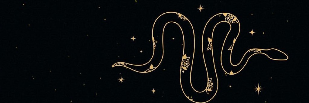 Babii_Swiss's profile banner image