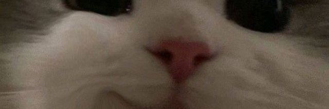 . banner