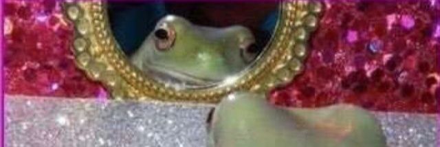 RupertDaFrog's profile banner image