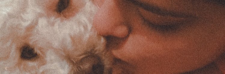 Maritzaavedoy1's profile banner image