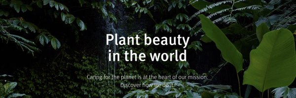 aveda Profile Banner