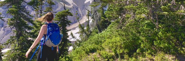 AmeliaVanPelt Profile Banner