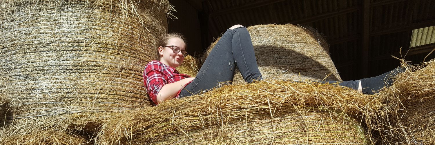 Hawcroft Lleyn banner