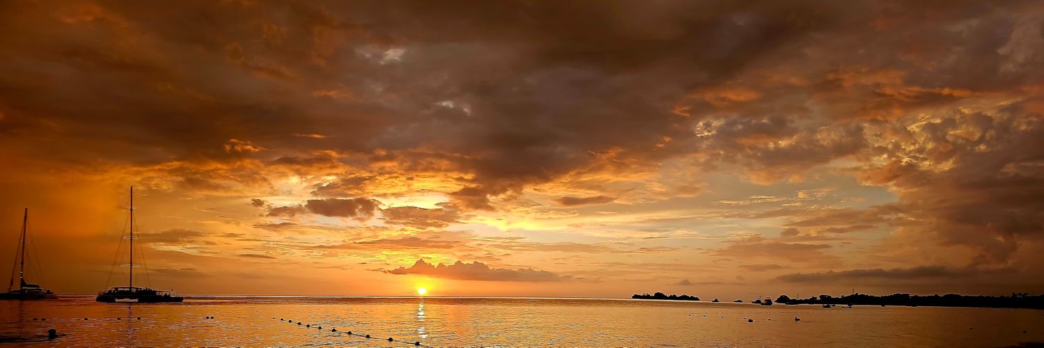 💜✨️ Risa- Latent Baddie ✨️💜 banner