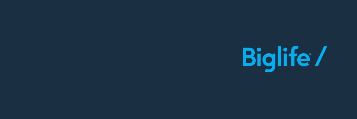 officialbiglife's profile banner image
