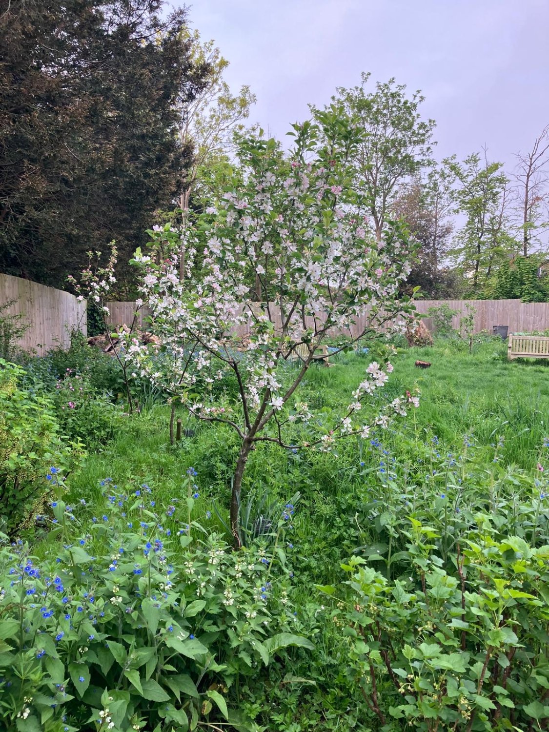 St Clement with St Peter Church banner