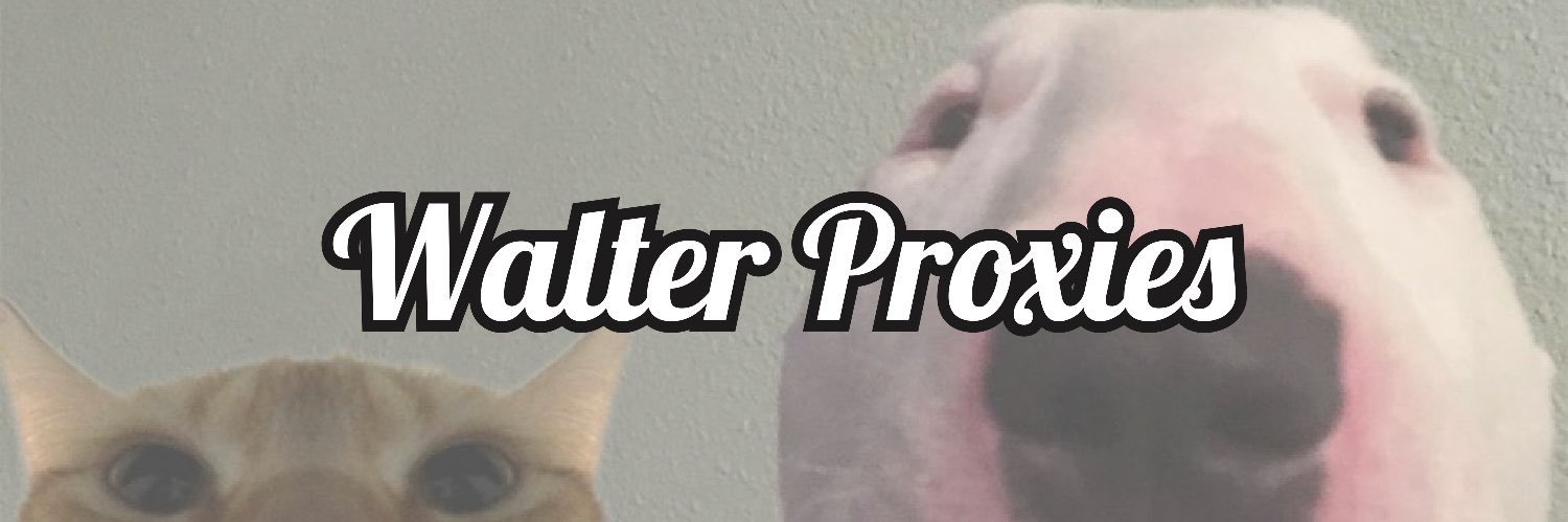 Walter Proxies banner