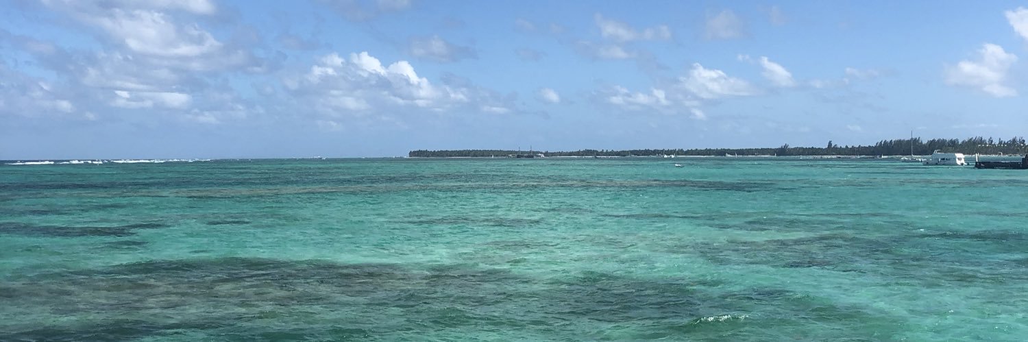 nikitamaiuri's profile banner image