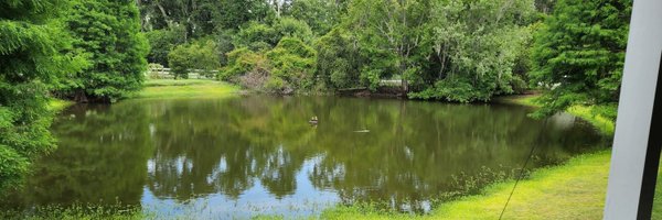 hodgestl Profile Banner