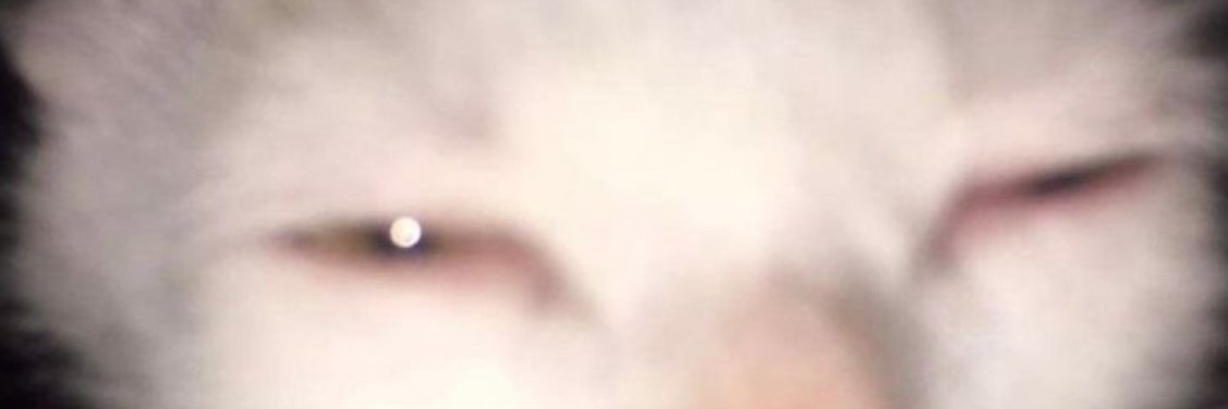 krnwaw's profile banner image
