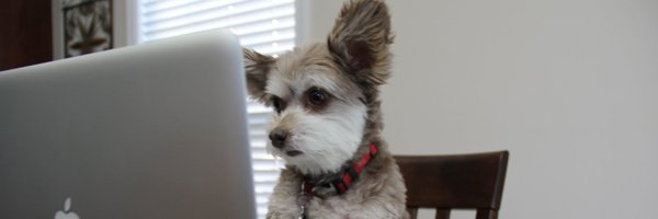 lovin_tech Profile Banner