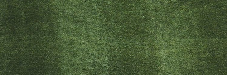 Diego banner