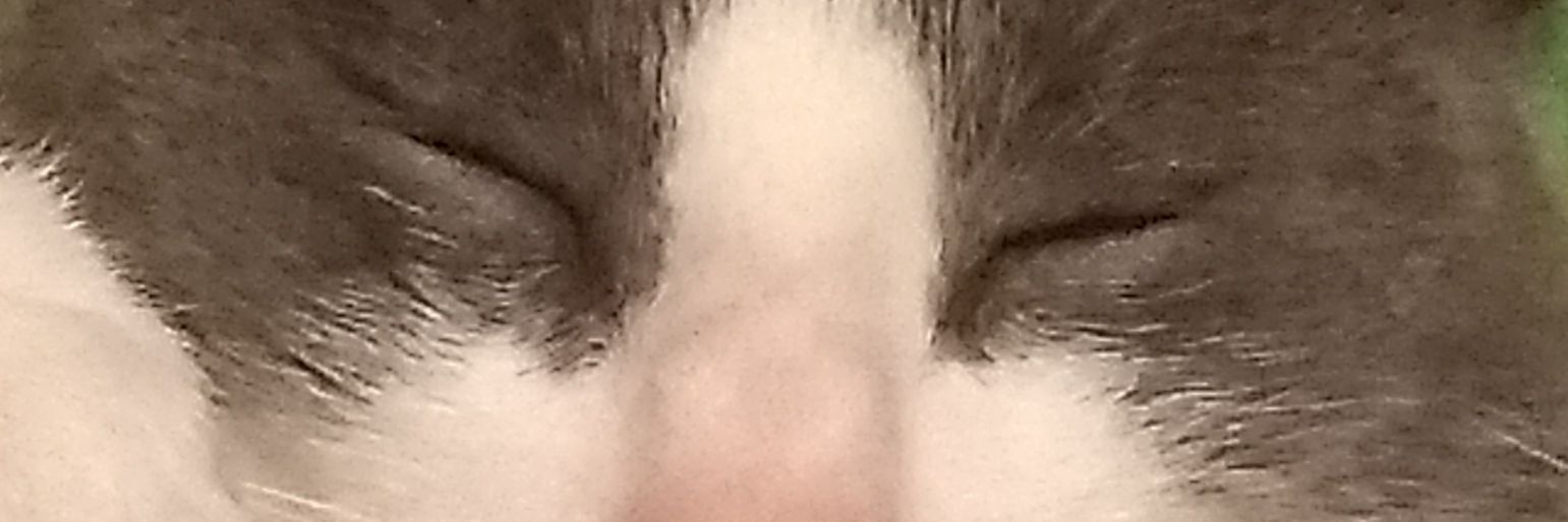 psicomarcelaca's profile banner image