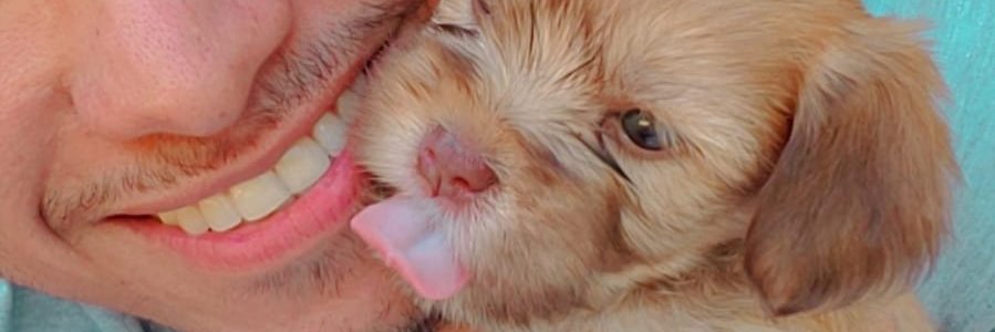 tiosevero's profile banner image