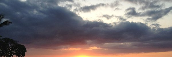 aludrizar Profile Banner