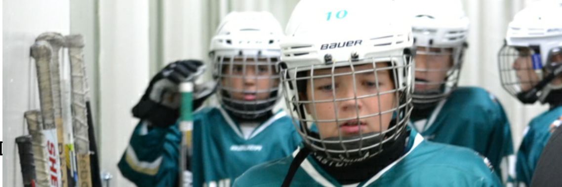 SquamishMHA Eagles banner