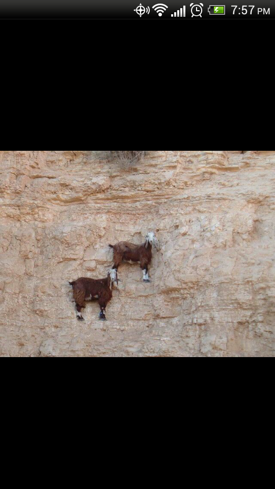 ClayciousX 🌹 banner