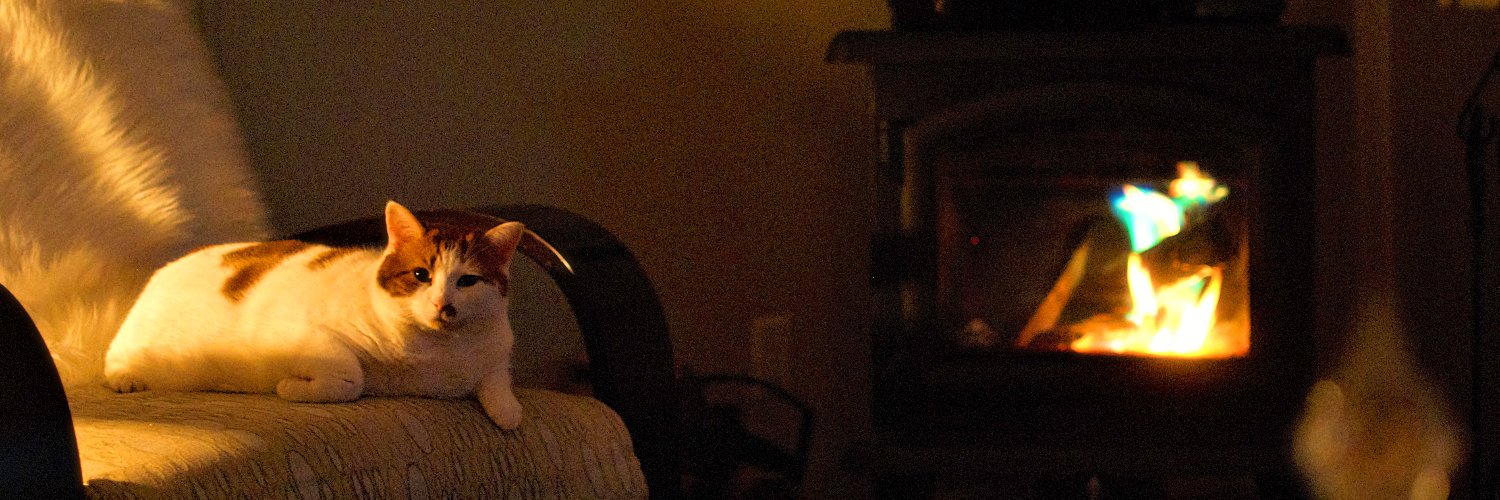 RadRandall's profile banner image