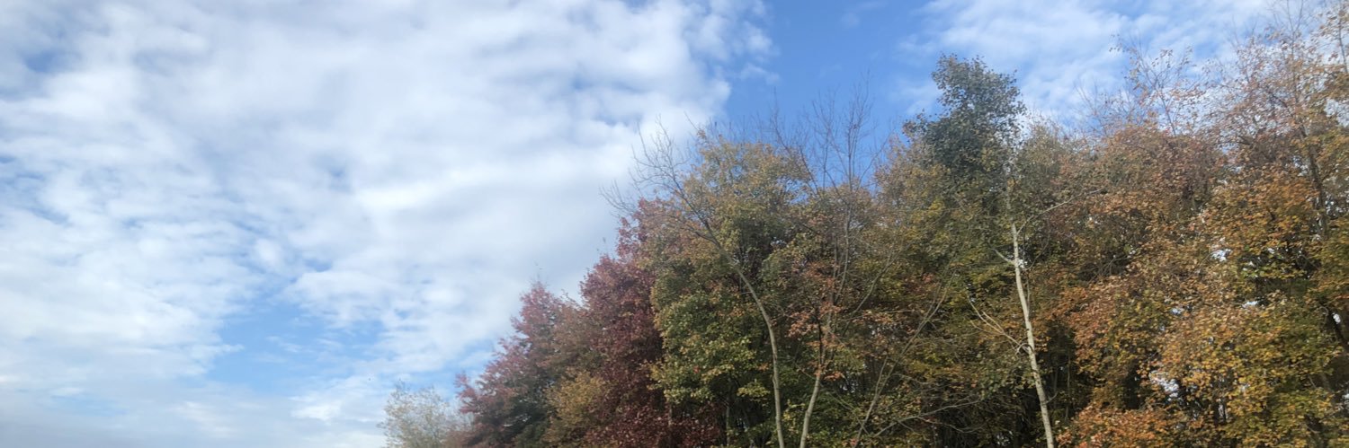 PatoBOC77's profile banner image