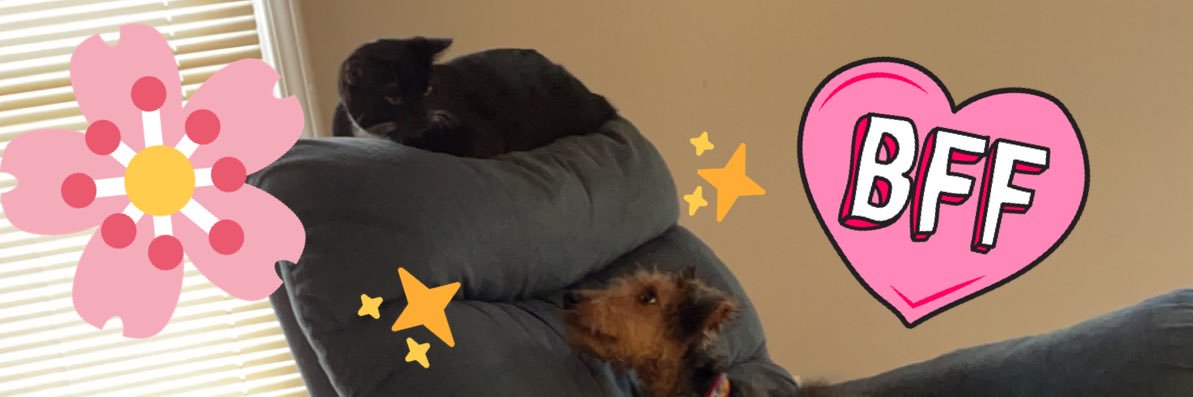 abbistoofab's profile banner image