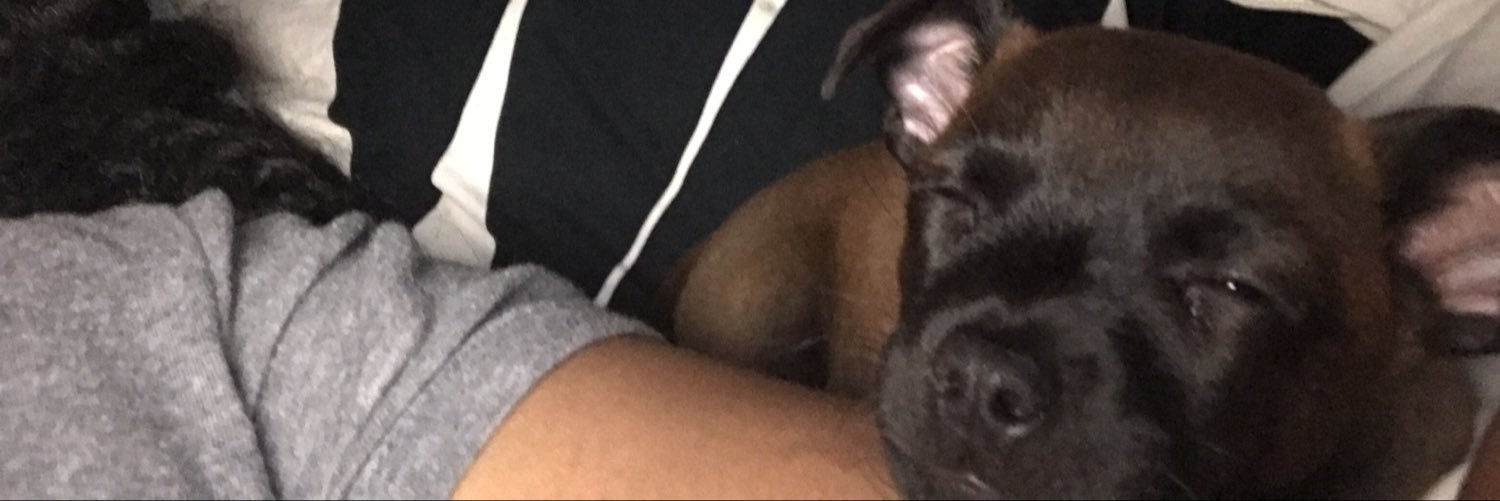 Tee2DaEm2DaBee banner