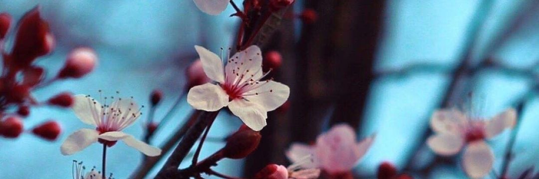 _MYASH_'s profile banner image