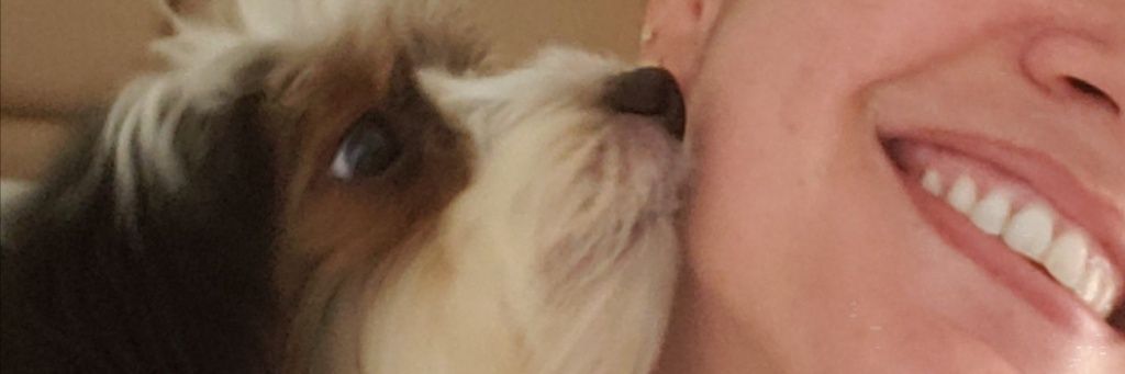 livituss's profile banner image