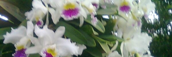 bea_dtj's profile banner image