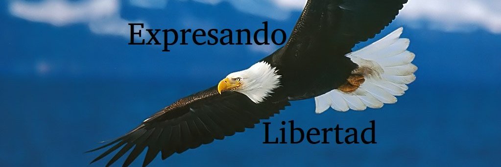 expresandol's profile banner image