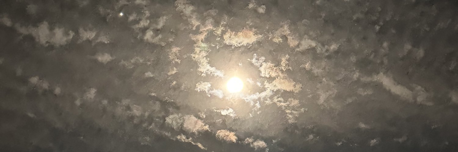 leahreillyy's profile banner image