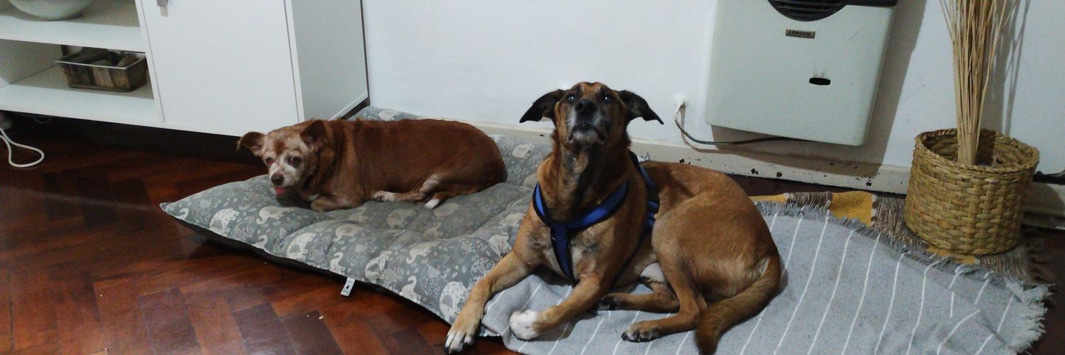 acenaga's profile banner image