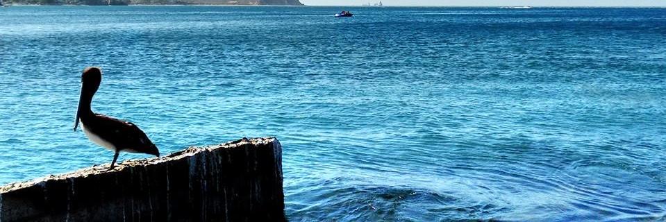 JavierZamir's profile banner image