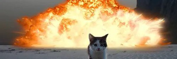 metamorphis_1 Profile Banner