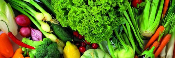 DrBryanArdis Profile Banner