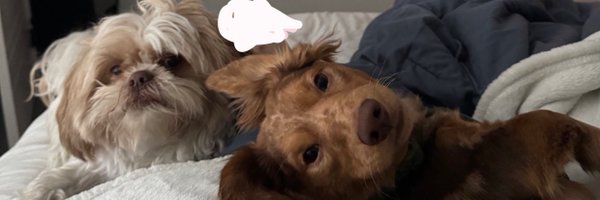 Mish_ely Profile Banner