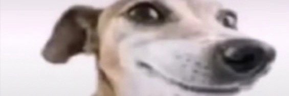 s banner