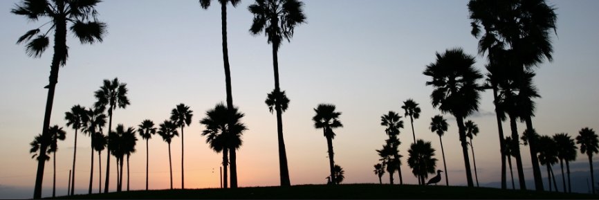 j3ntech's profile banner image