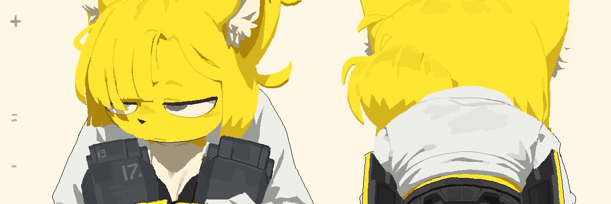 Page's banner