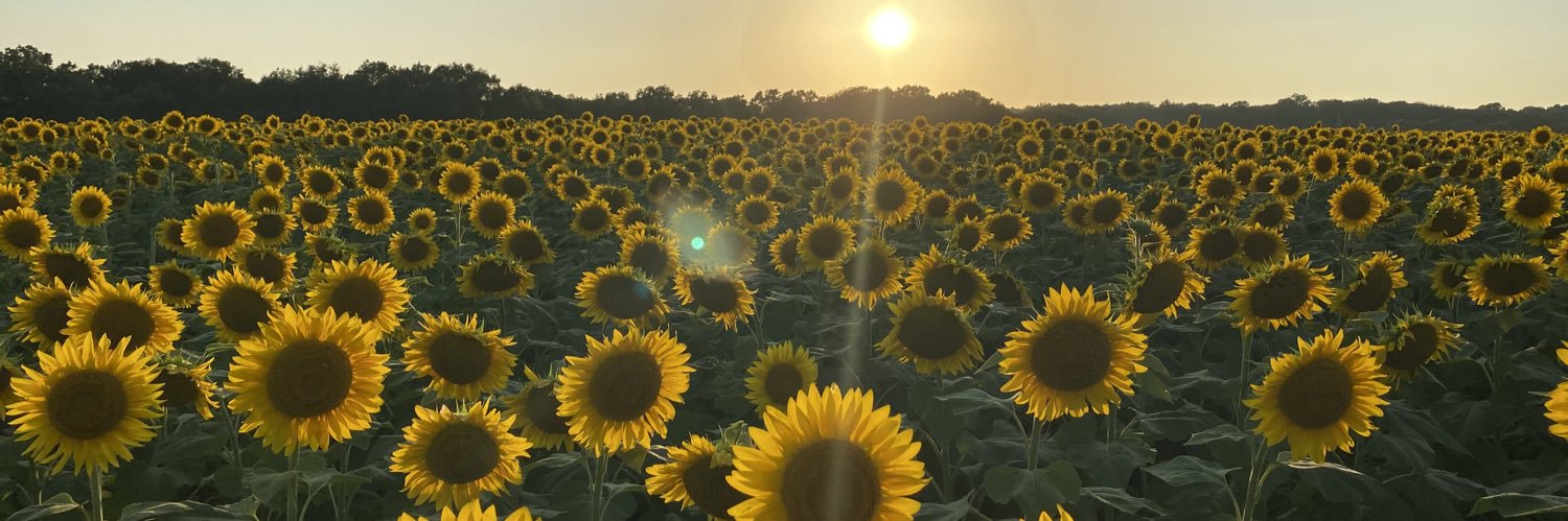 jessiloucks's profile banner image