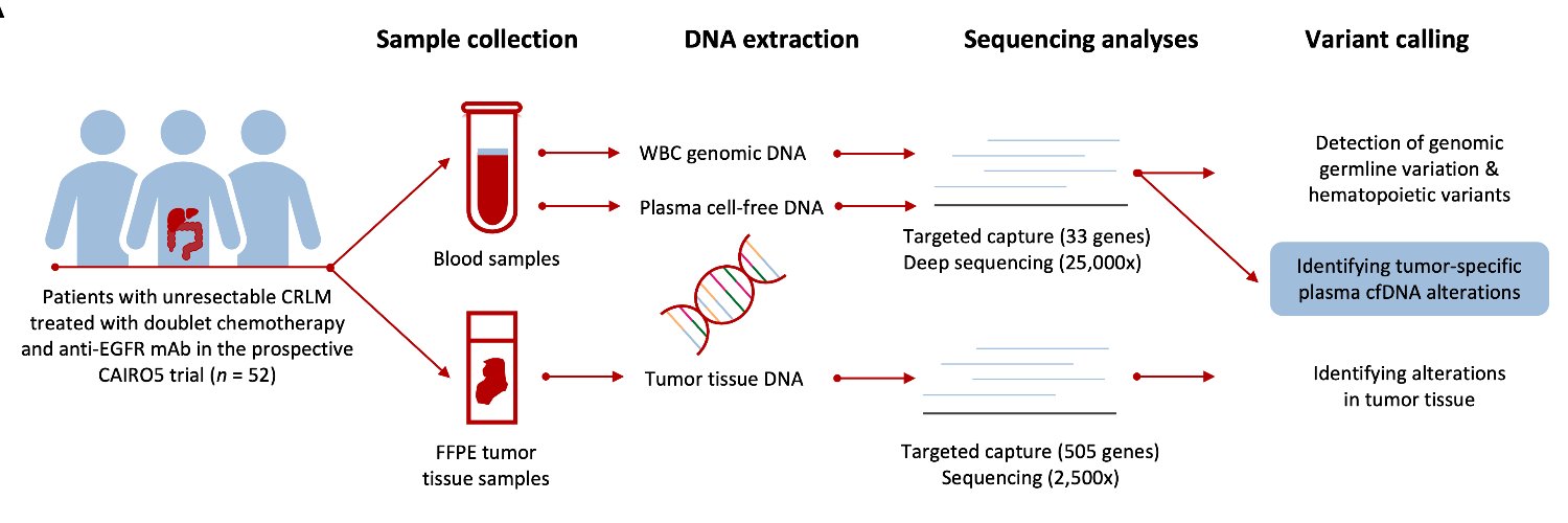 Remond Fijneman banner