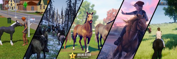 TheManeQuest Profile Banner