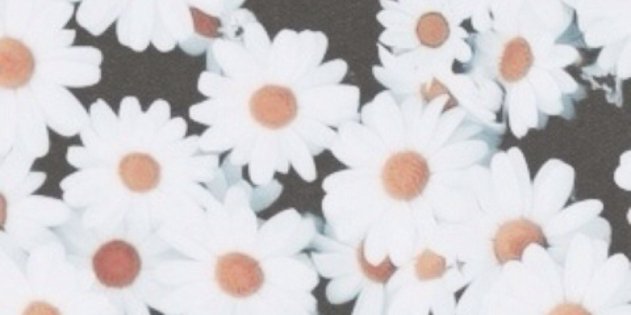 vanillablush's profile banner image