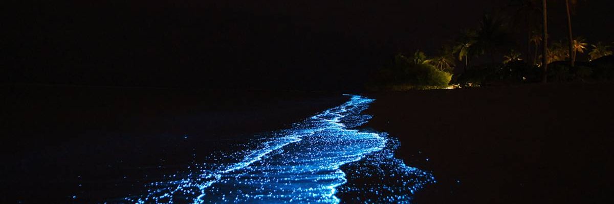 Eds_Edytwit's profile banner image