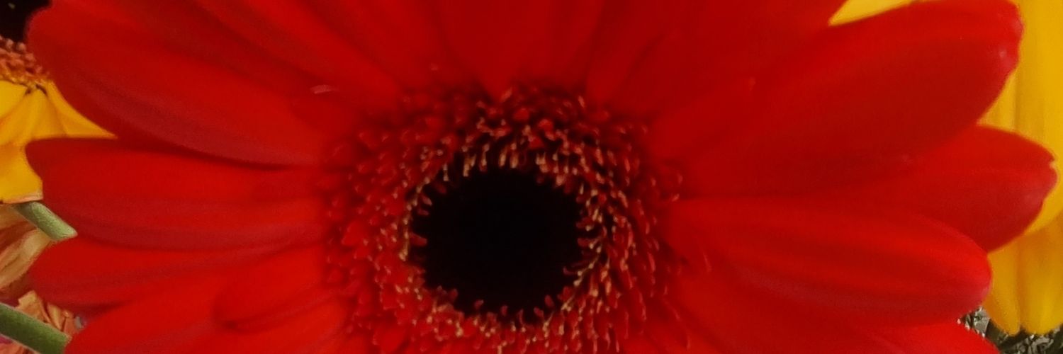 martinsvalerob's profile banner image