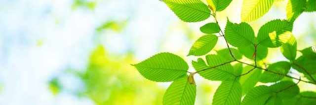 Joline ScottRoller 🇺🇦 banner