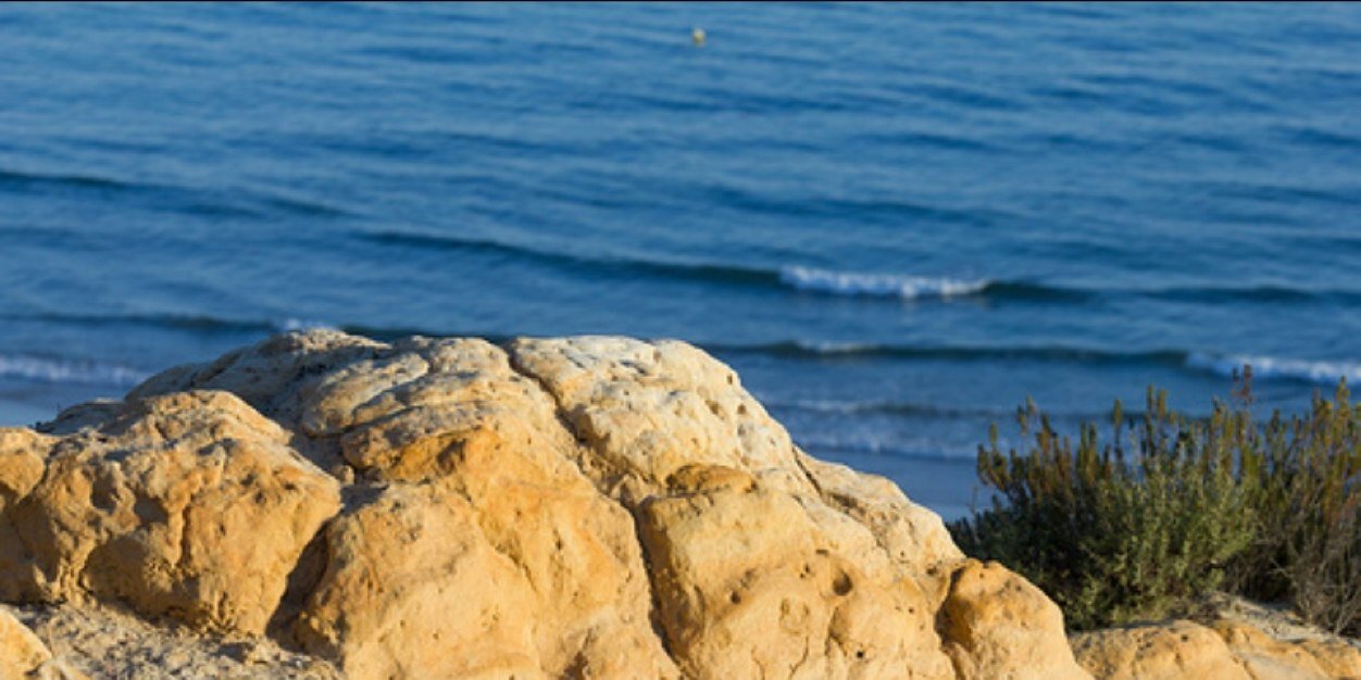 Desproposito's profile banner image